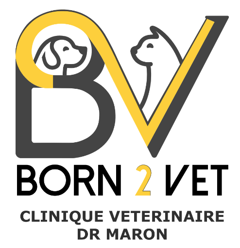Logo Born2Vet
